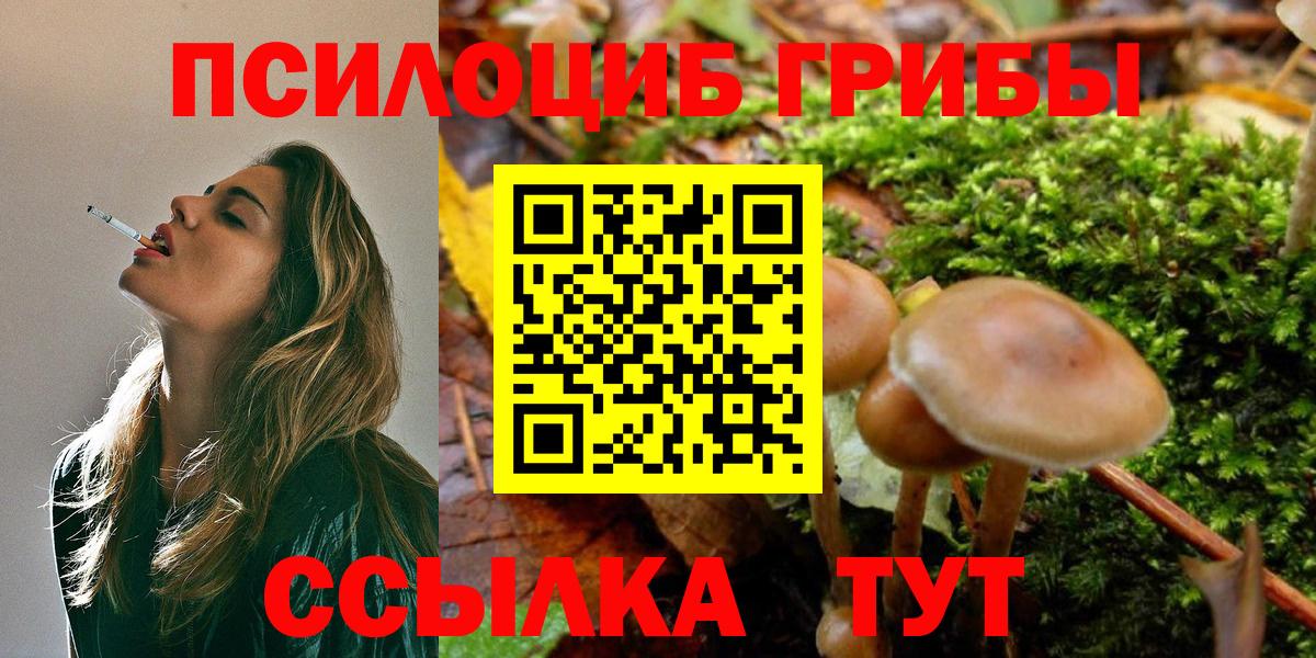Галлюциногенные грибы прущие грибы  Псилоцибиновые грибы мицелий  Вход с VPN  Электрогорск 